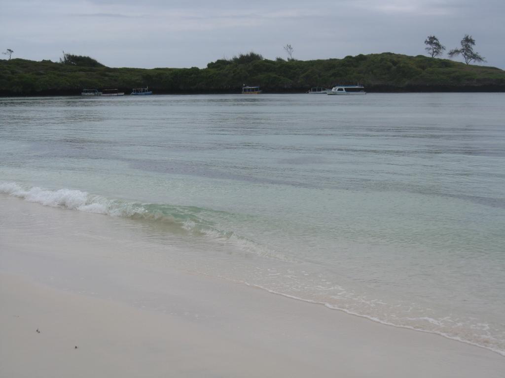 Luciano & Grace Apartments Watamu Dış mekan fotoğraf